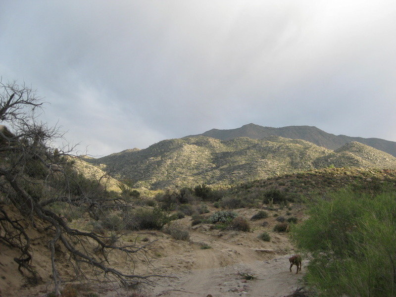 2015-4%20Baja%20025_1698042ed10dd7e4e54def3abef223b64814ef3e.jpg