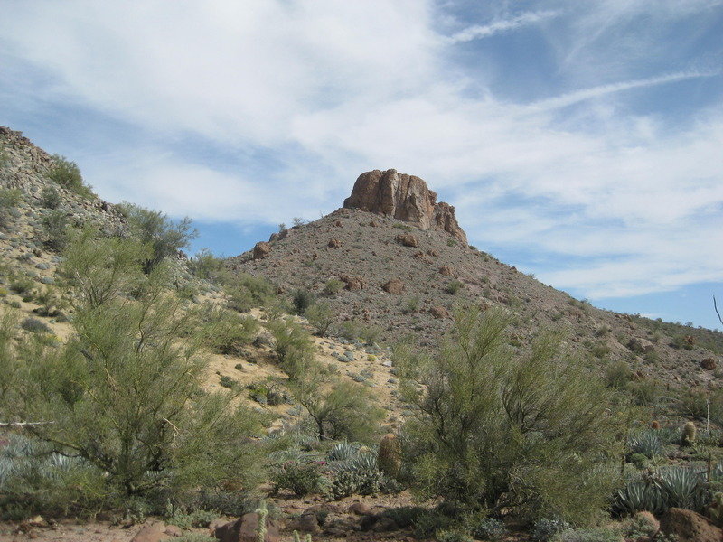 2015-4%20Baja%20041_35e37210b53d4d7fe7f90a6c9ed706afbeafffee.jpg