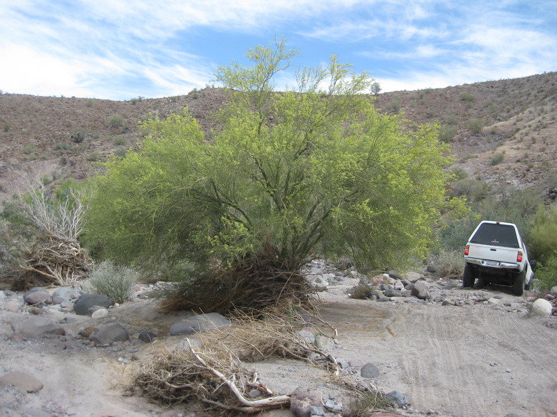 2015-4%20Baja%20071_380252ee06ca8018e11c428d4eef7dda3909a102.jpg