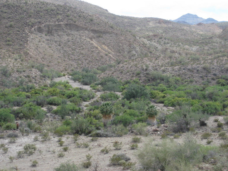 2015-4%20Baja%20089_bddc02833683e8dbe7fbfe816e083628292dd9c4.jpg