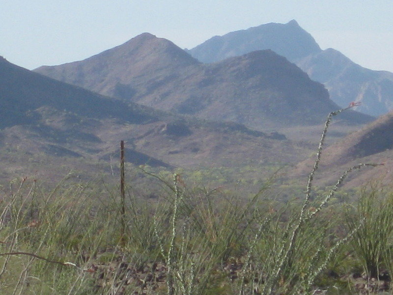 2015-4%20Baja%20130_313db333c63fd87e8b95c17b00e2ed04073a73ea.jpg