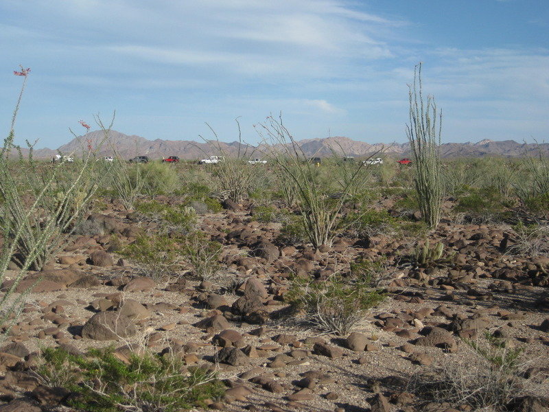 2015-4%20Baja%20136_3f954ab3317ba8a3ed8b20ed350ca7d64f86fc21.jpg