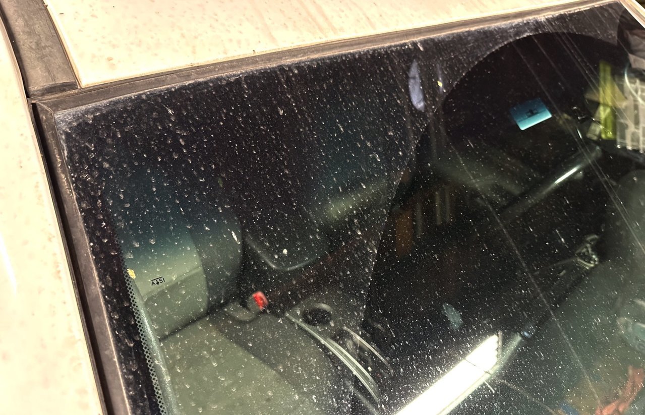2015 Taco Winshield.jpg