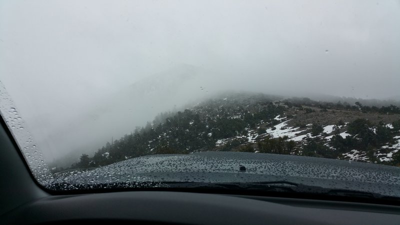 20150111_124511.jpg