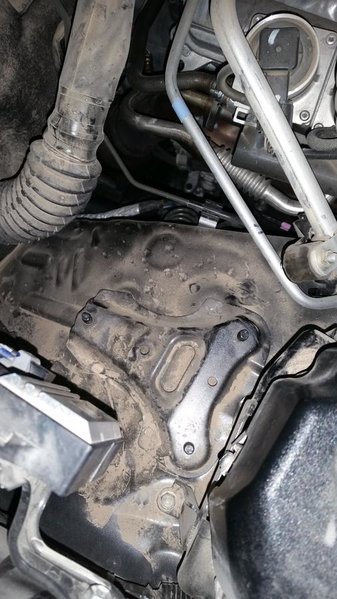 20150121_174399.jpg