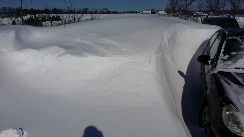 20150131_115116.jpg