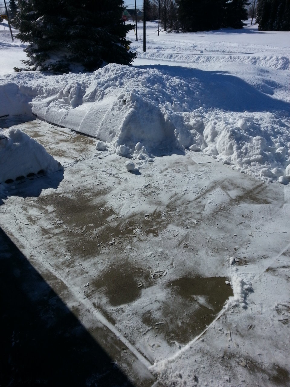 20150202_124908.jpg