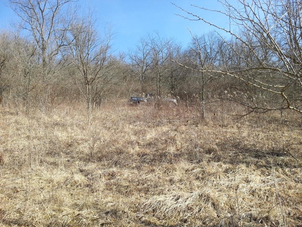 20150207_131143_zps4vwjw3vj_44fa90169da773c79d1b4eb675570160ac38a597.jpg