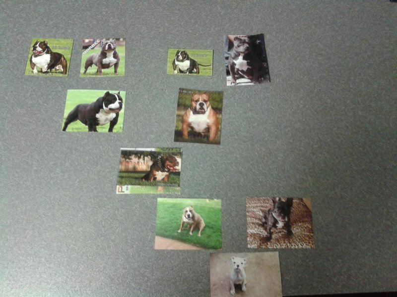 20150214_162418.jpg
