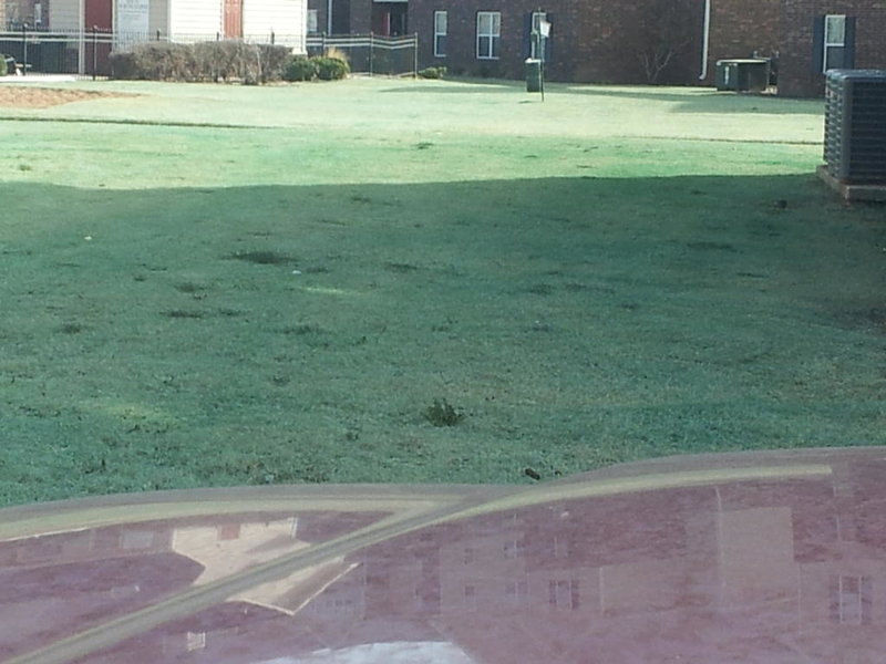 20150221_103228.jpg