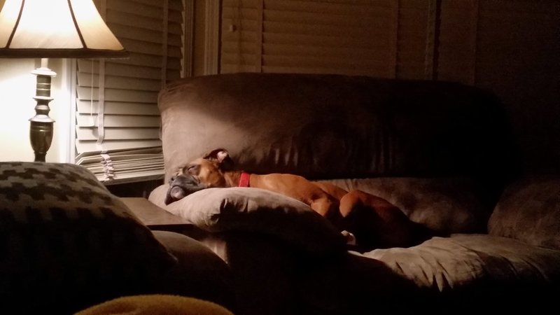 20150222_212014.jpg