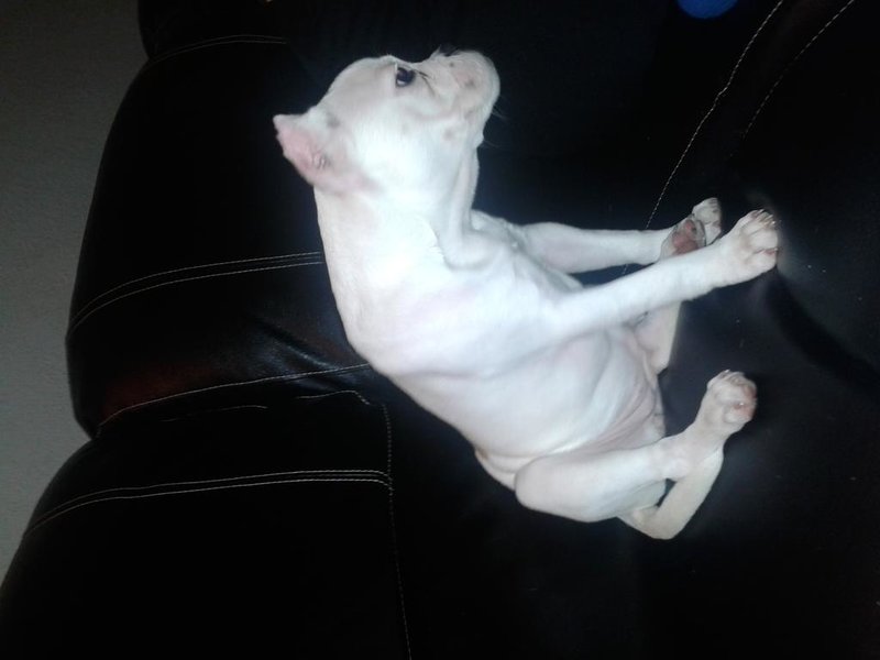 20150222_230022.jpg