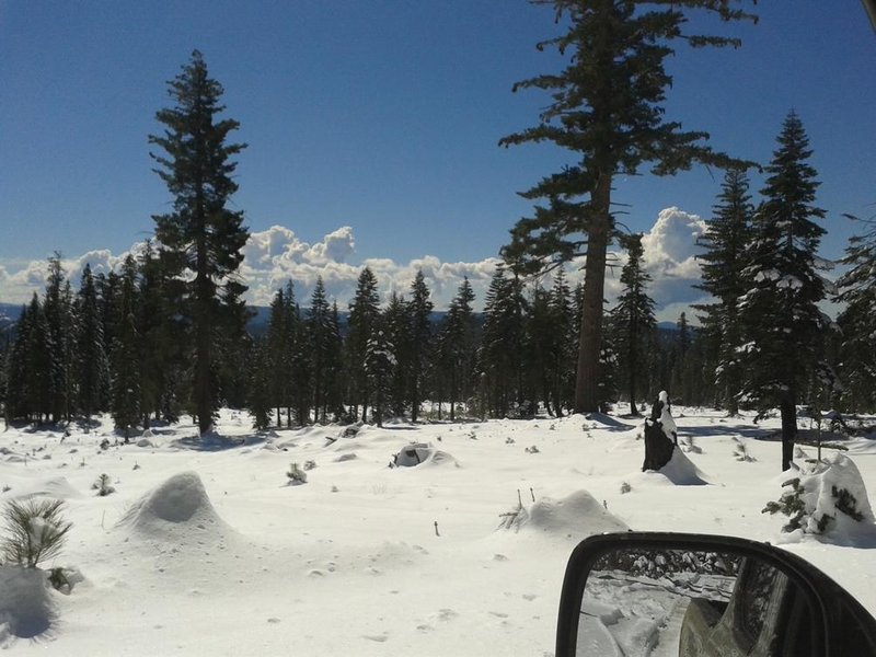 20150301_124046.jpg