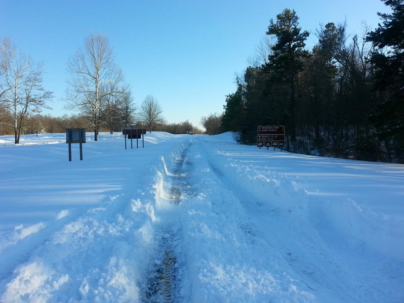 20150305_163633.jpg