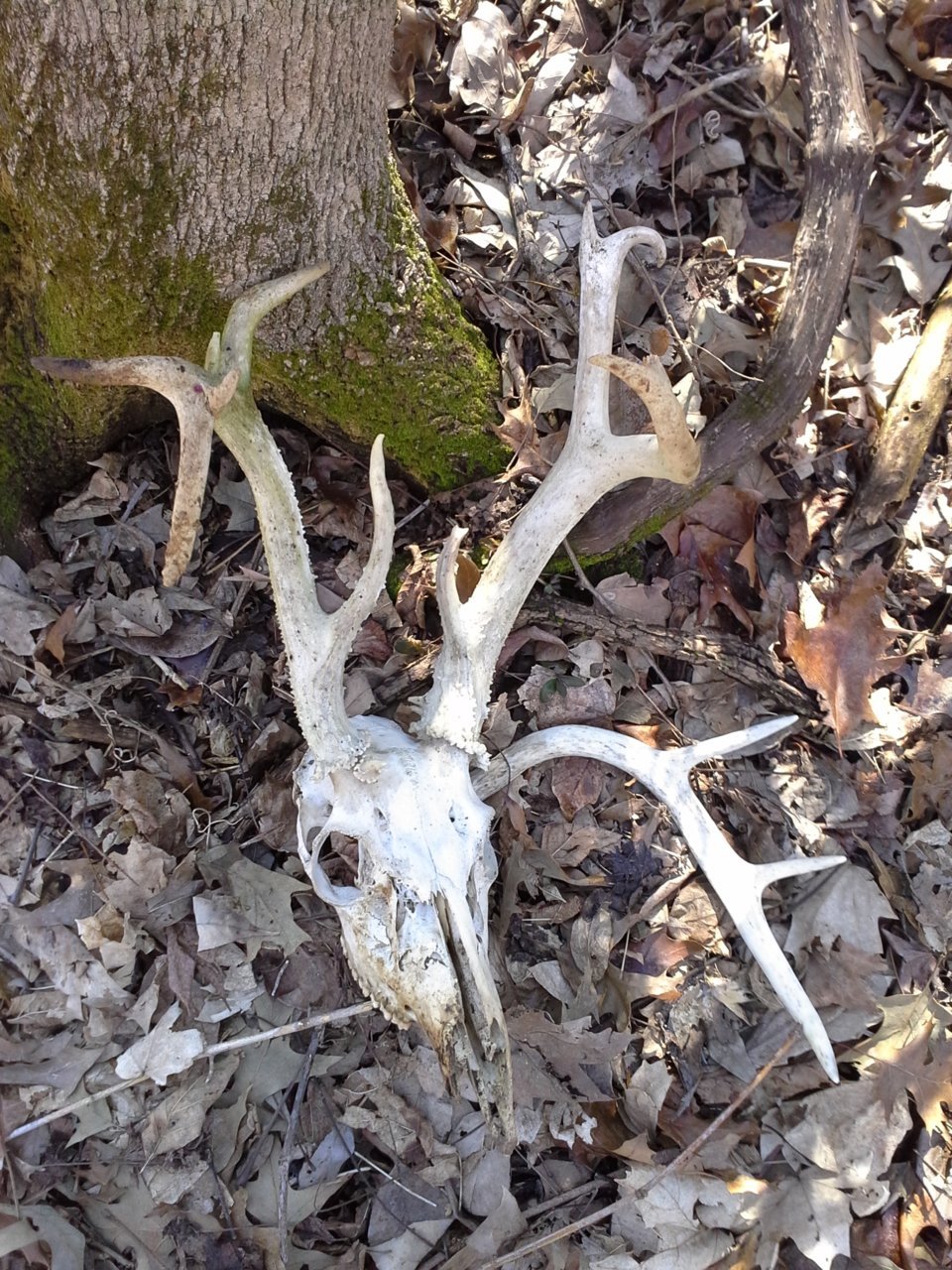 20150311_141305.jpg