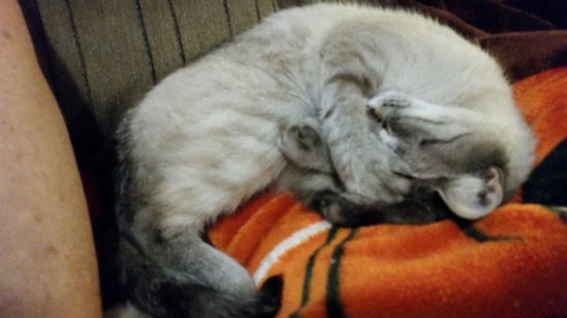 20150323_200412.jpg