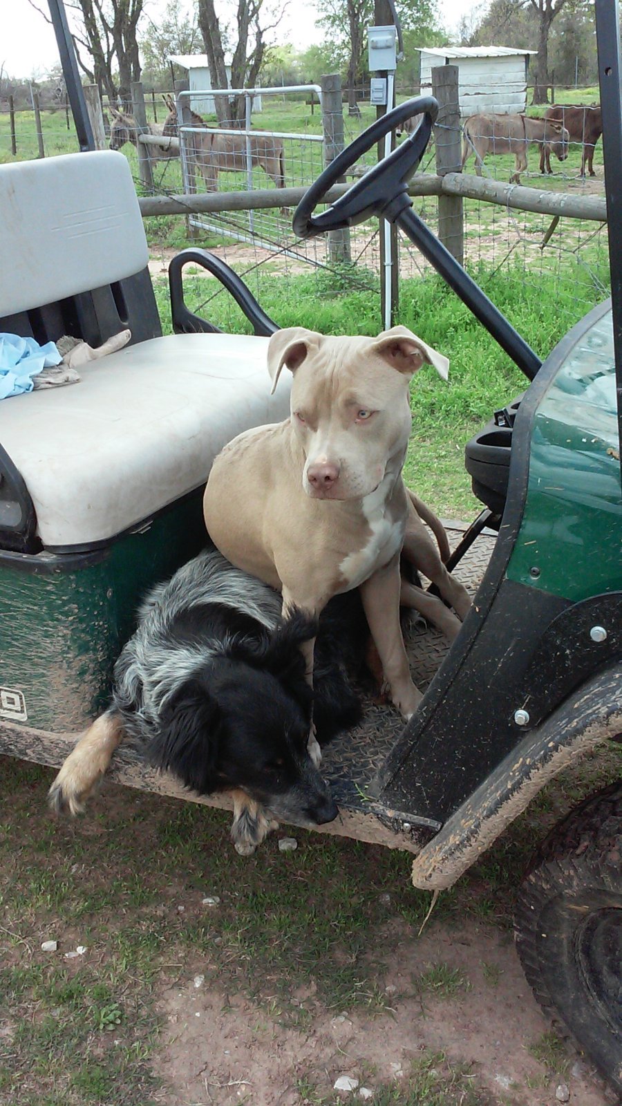 20150324_133131.jpg
