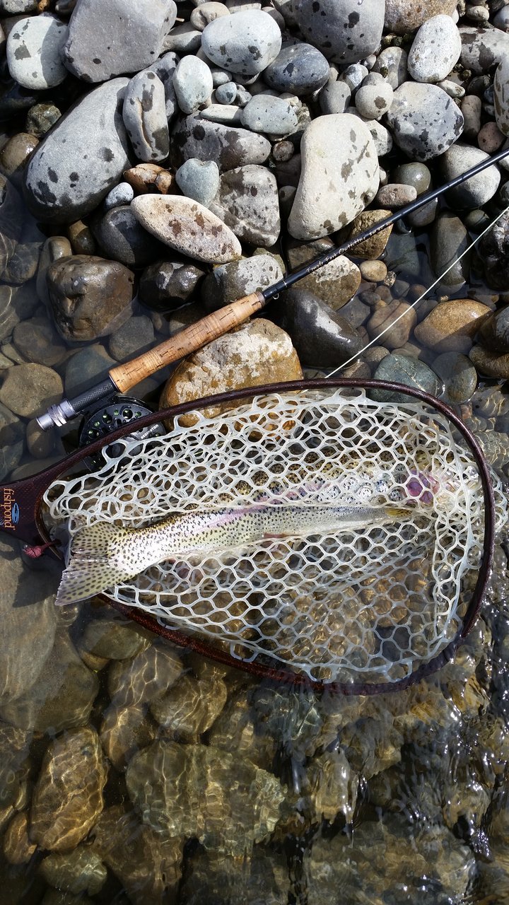 20150328_130745.jpg