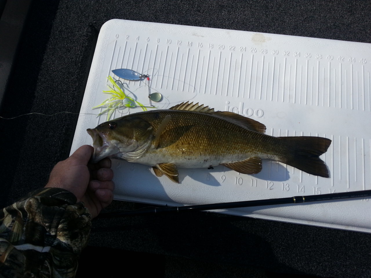 20150329_160325.jpg