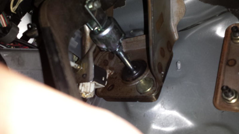 20150331_125610.jpg