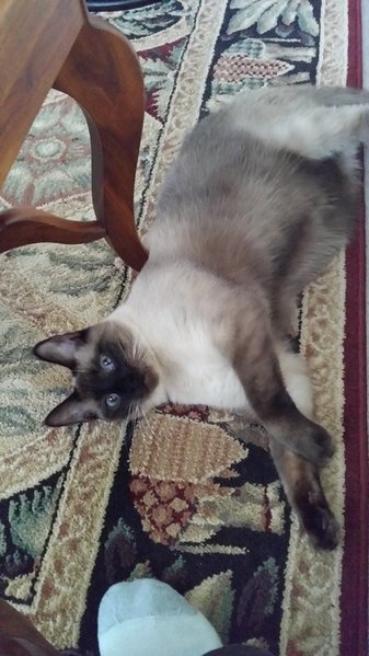 20150401_183549.jpg