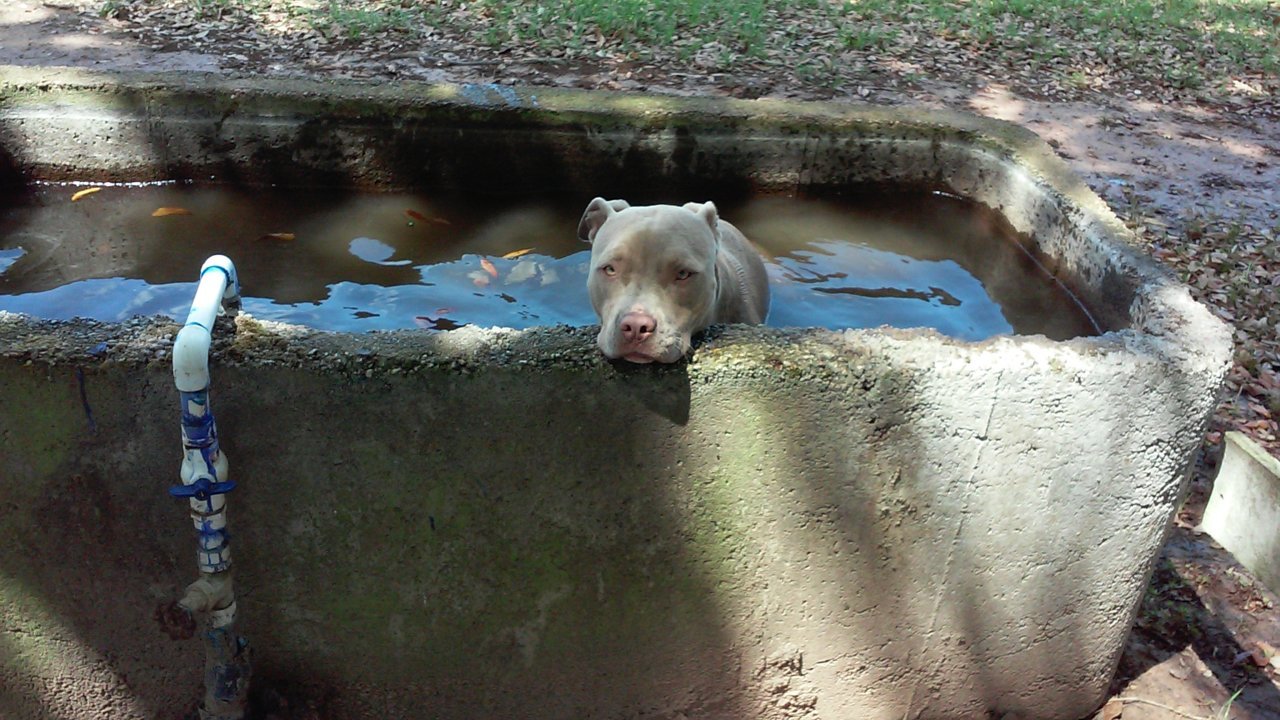 20150413_144911.jpg