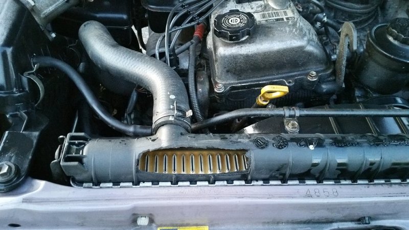 20150423_061621.jpg