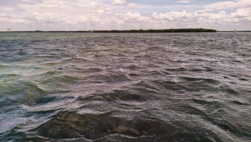 20150504_141107.jpg