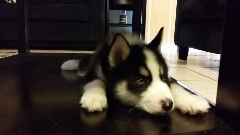 20150506_175606.jpg