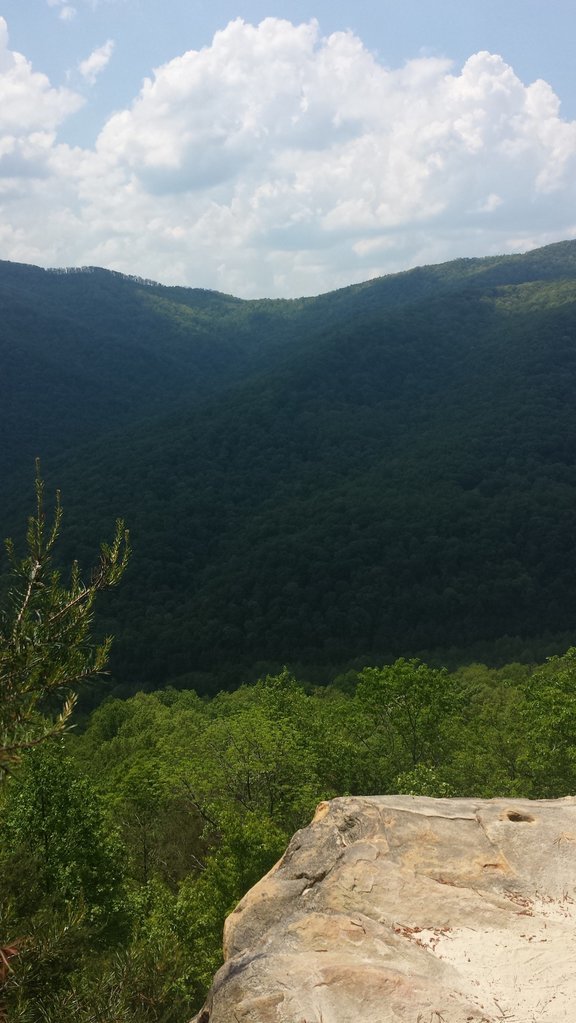 20150509_140133_75d1b3915725e68f1966c66d6bc5032b358f7bfc.jpg