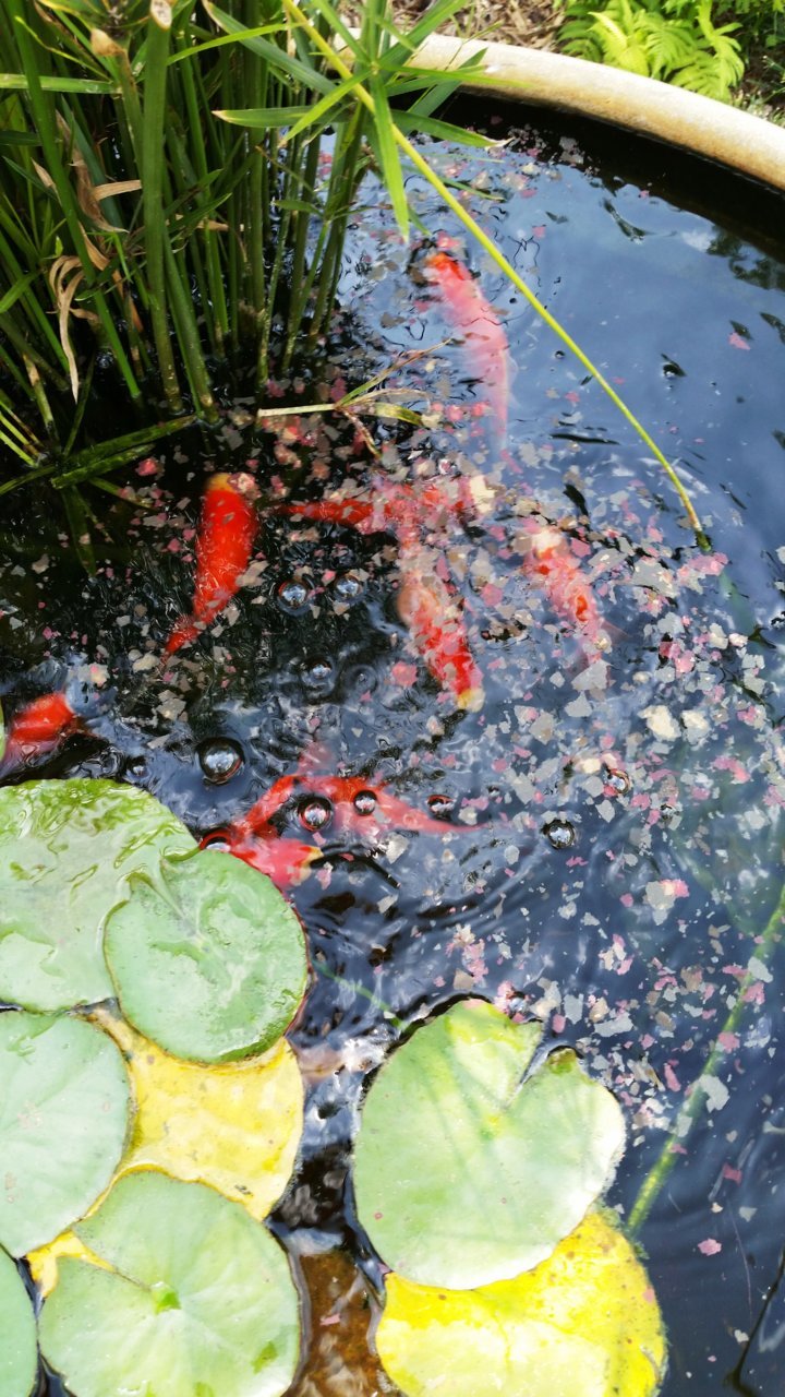 20150510_160958.jpg