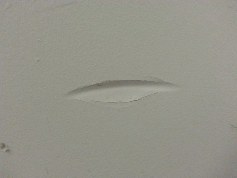 20150517_165321.jpg
