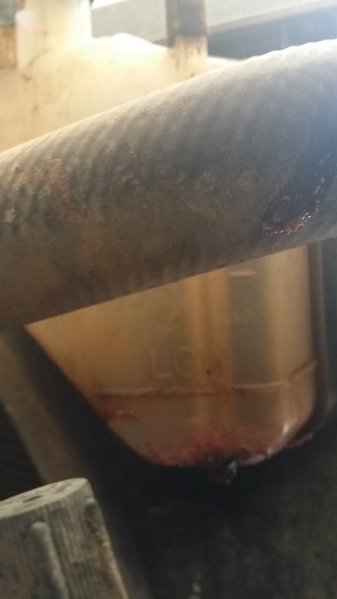 20150518_101751.jpg