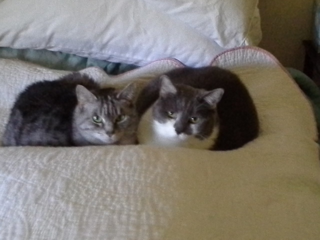 20150522_130533.jpg