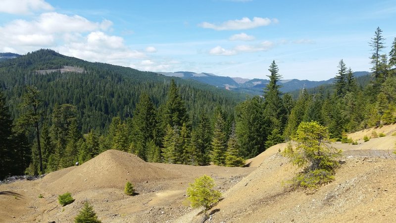 20150524_152551.jpg