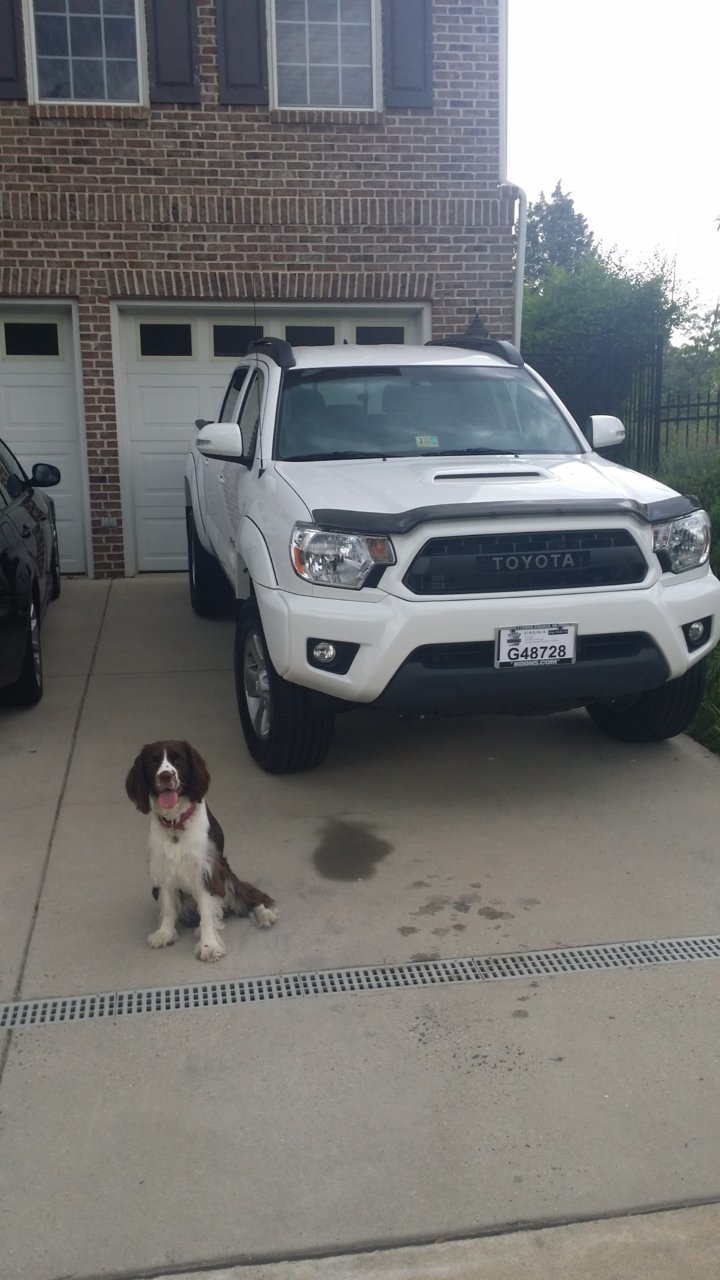 20150528_172307.jpg