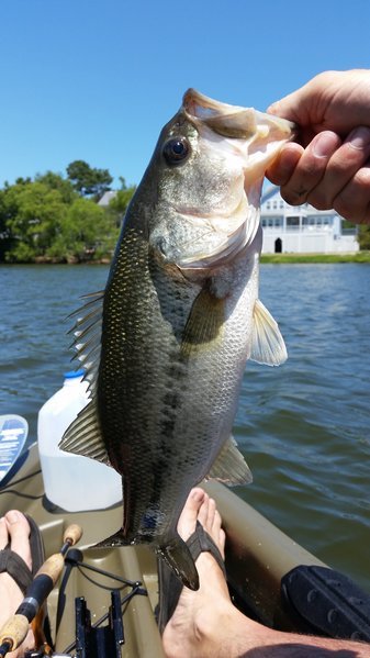 20150601_134934.jpg