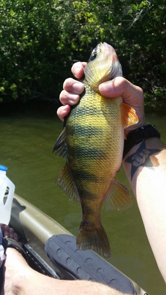 20150601_145510.jpg