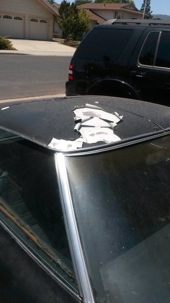20150605_123007.jpg