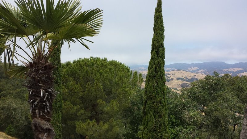 20150606_115449.jpg