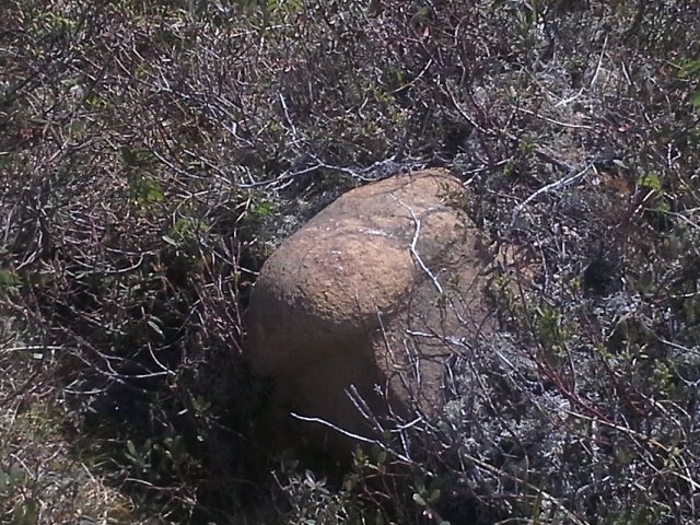 20150611_111715.jpg