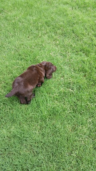 20150613_105711.jpg