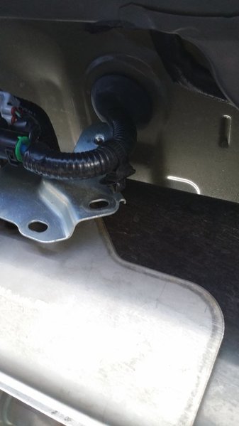 20150613_120536.jpg