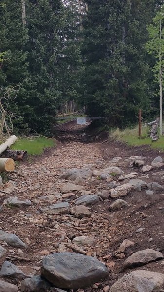 20150613_173242.jpg