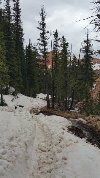 20150613_180648.jpg