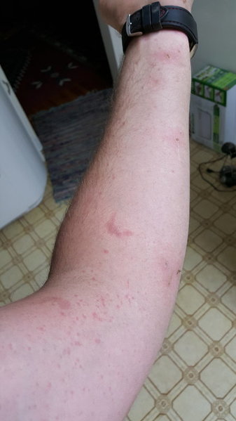20150616_214456.jpg