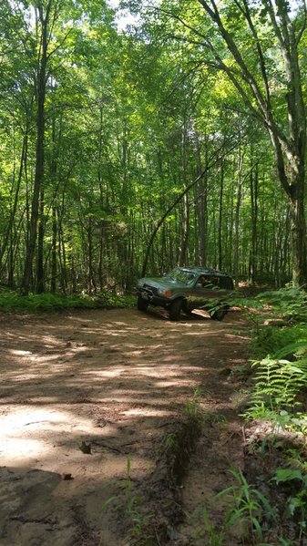 20150620_103606.jpg