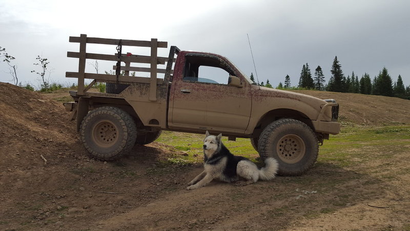 20150621_165423.jpg