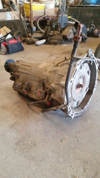 20150622_100552.jpg