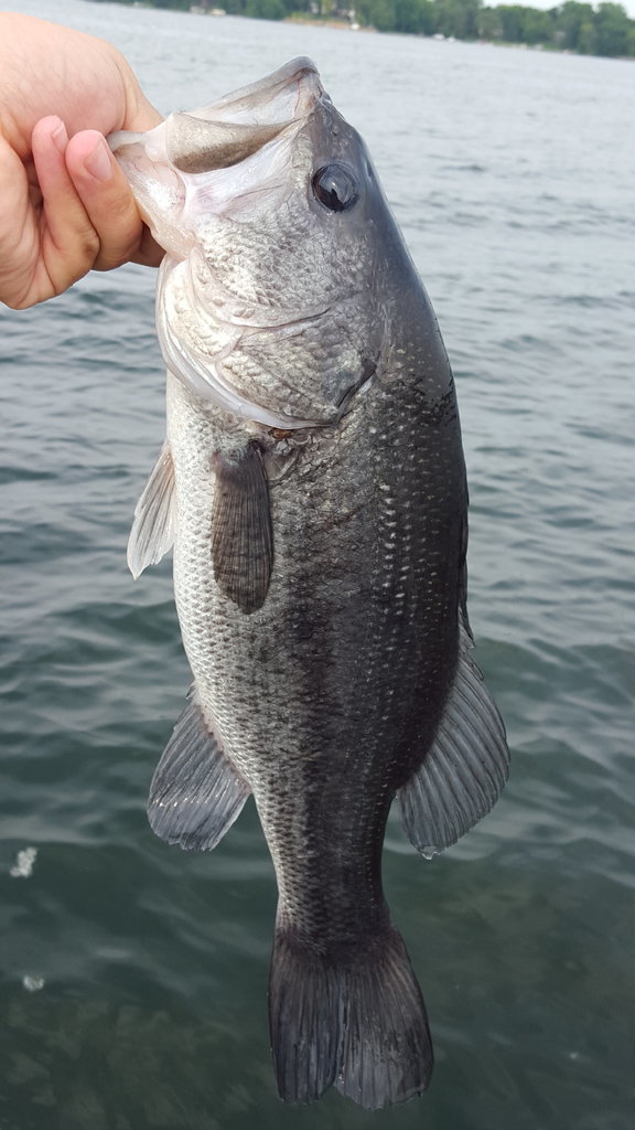 20150630_170001.jpg